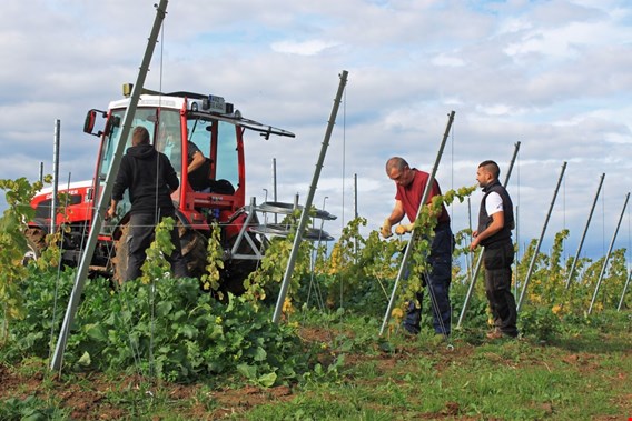 Le Fort de Lantin et le vin de Liège