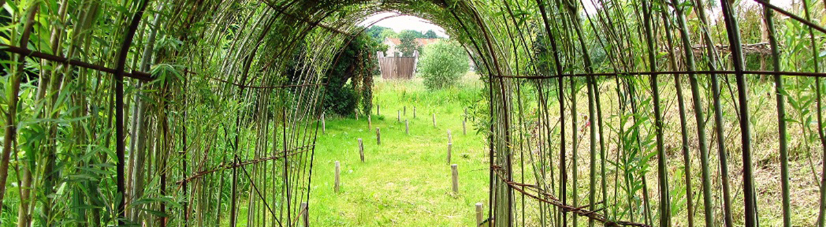 Découverte Nature dans le Parc naturel Burdinale Mehaigne