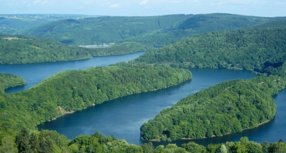 Au coeur du Parc National de l’Eifel